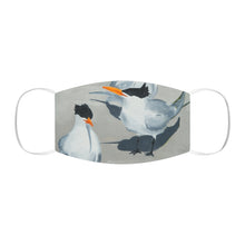 Load image into Gallery viewer, From Maine - Snug-Fit Terns on the beach Polyester Face Mask