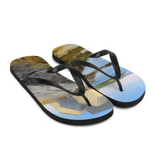 Load image into Gallery viewer, Flip-Flops